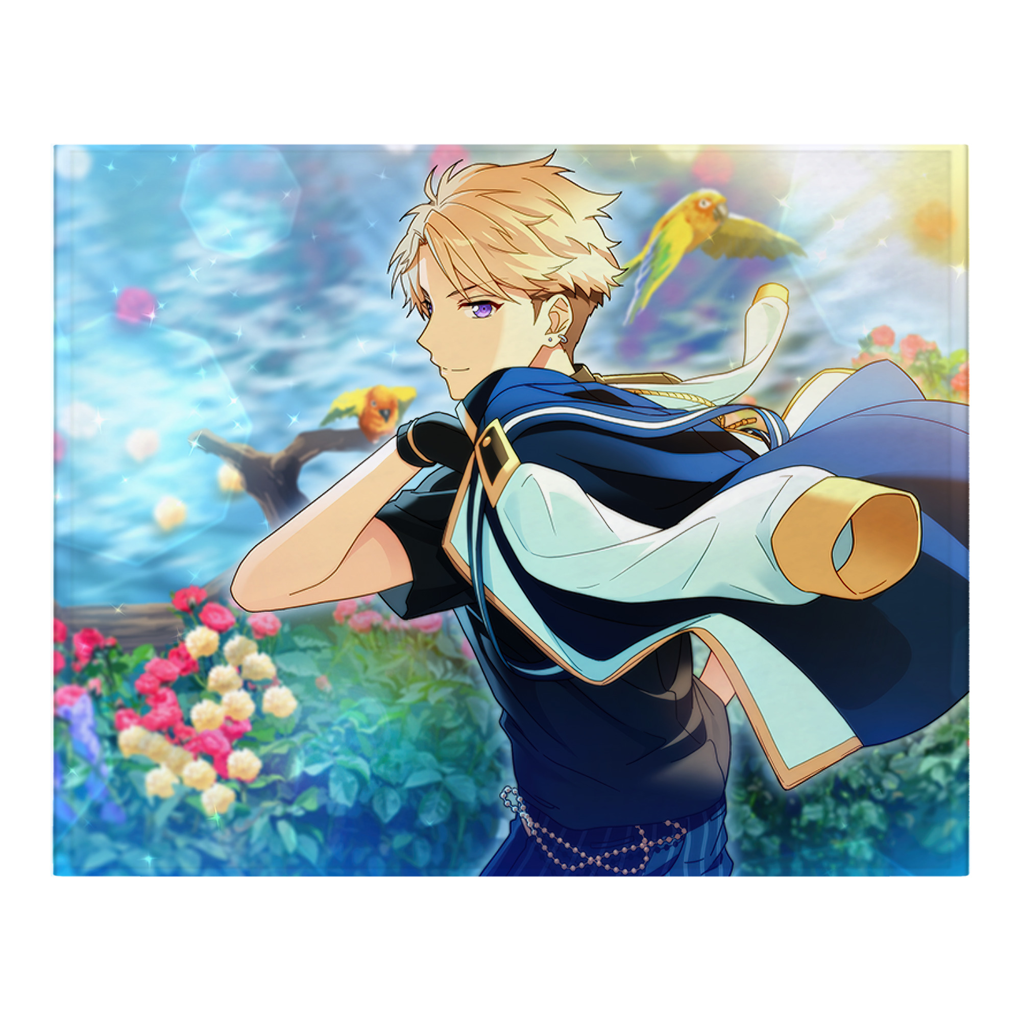 （画像用） あんさんぶるスターズ! Ensemble Stars フランネルブランケット・多サイズ対応（横型）