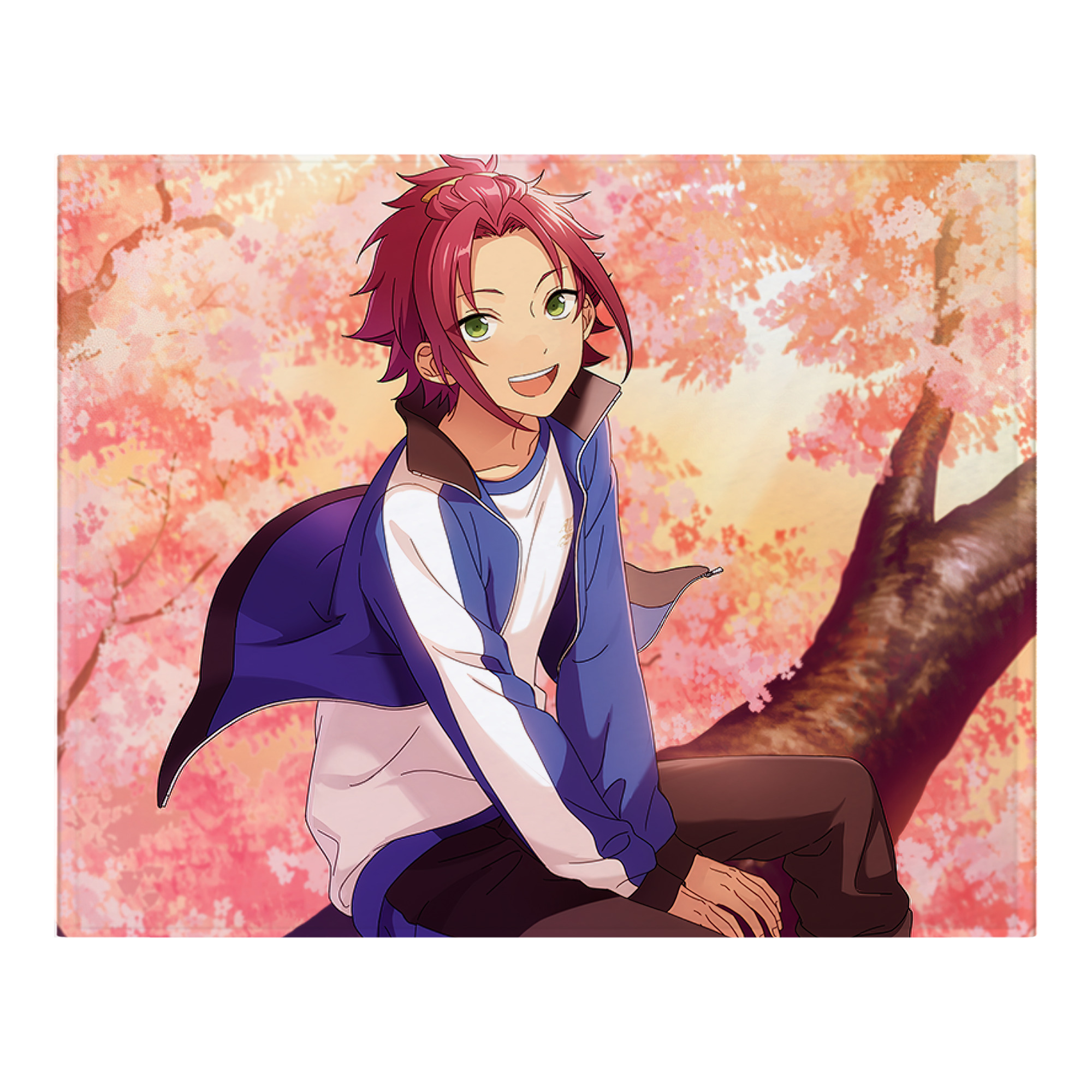 （画像用） あんさんぶるスターズ! Ensemble Stars フランネルブランケット・多サイズ対応（横型）