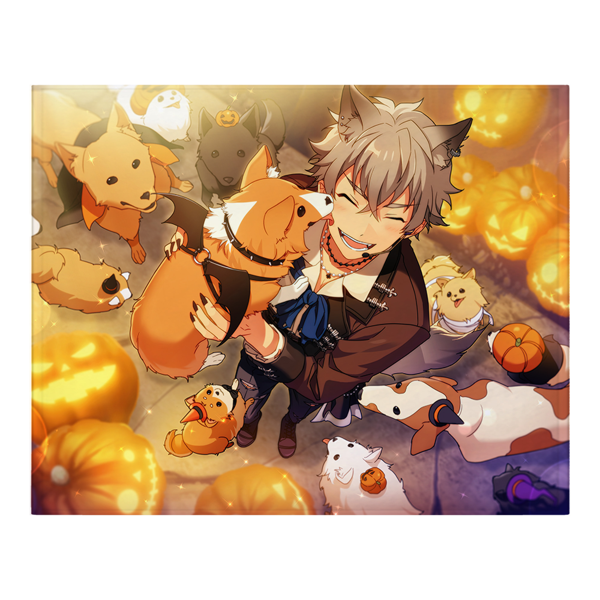 （画像用） あんさんぶるスターズ! Ensemble Stars フランネルブランケット・多サイズ対応（横型）